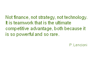 Training High Performing Teams